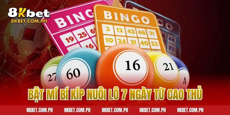 Bật mí bí kíp nuôi lô 7 ngày từ cao thủ