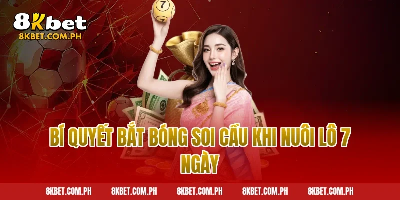 Bí quyết bắt bóng soi cầu khi nuôi lô 7 ngày