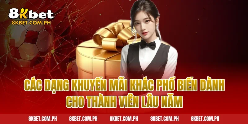 Các dạng khuyến mãi khác phổ biến dành cho thành viên lâu năm