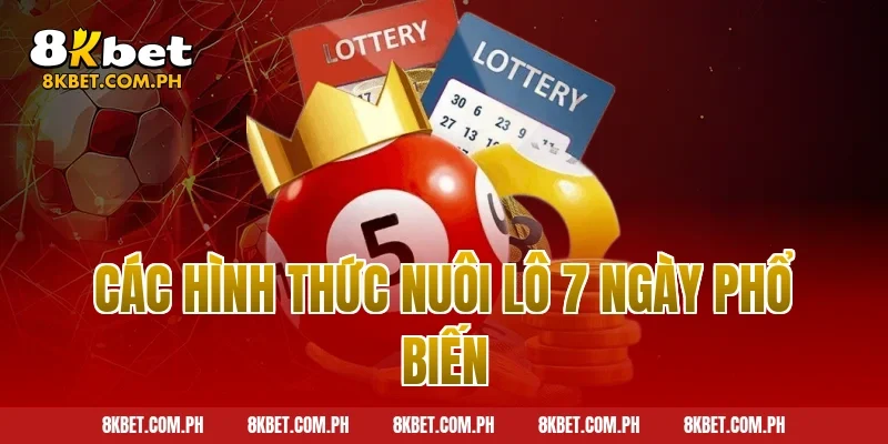 Các hình thức nuôi lô 7 ngày phổ biến