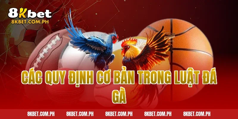 Các quy định cơ bản trong luật đá gà