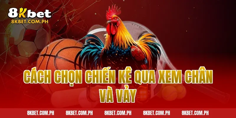 Cách chọn chiến kê qua xem chân và vảy