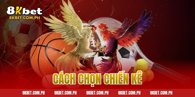 cách chọn chiến kê
