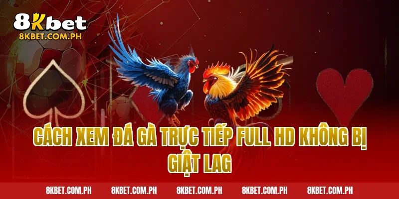 Cách Xem Đá Gà Trực Tiếp Full HD Không Bị Giật Lag