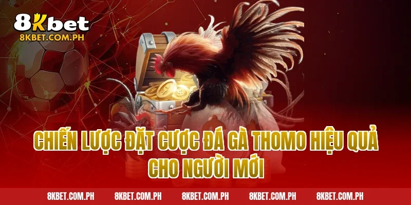 Chiến lược đặt cược đá gà thomo hiệu quả cho người mới