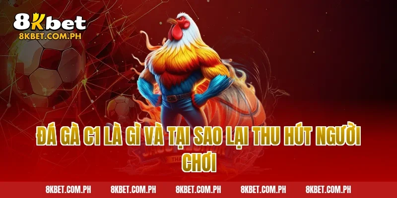 Đá gà c1 là gì và tại sao lại thu hút người chơi