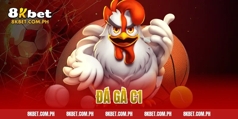 đá gà c1