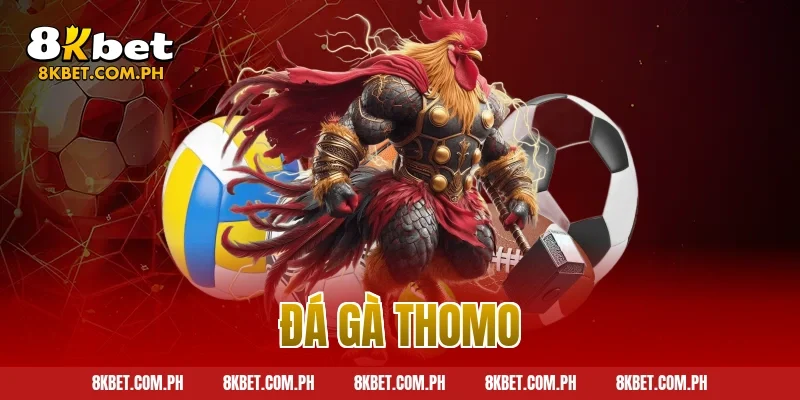 đá gà thomo