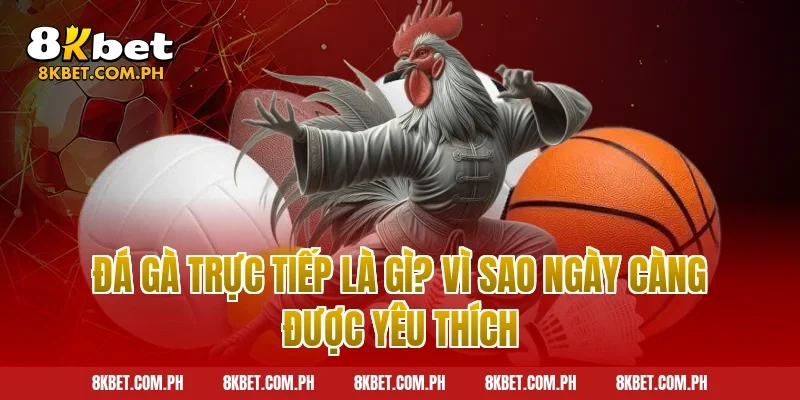 Đá Gà Trực Tiếp Là Gì? Vì Sao Ngày Càng Được Yêu Thích