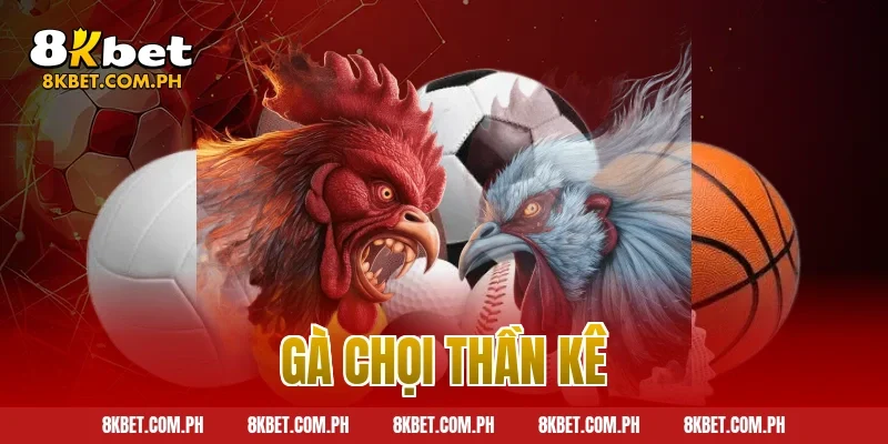 gà chọi thần kê