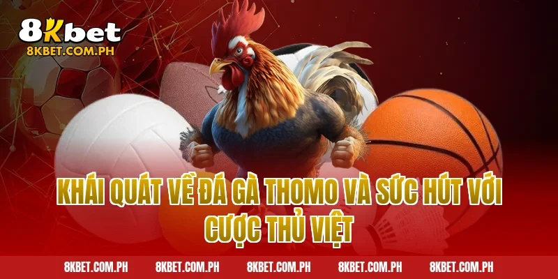 Khái quát về đá gà thomo và sức hút với cược thủ Việt