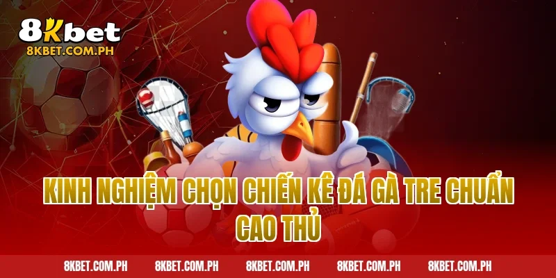 Kinh nghiệm chọn chiến kê đá gà tre chuẩn cao thủ