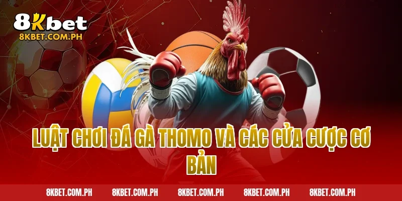 Luật chơi đá gà thomo và các cửa cược cơ bản