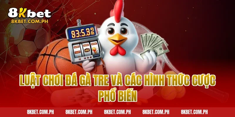 Luật chơi đá gà tre và các hình thức cược phổ biến