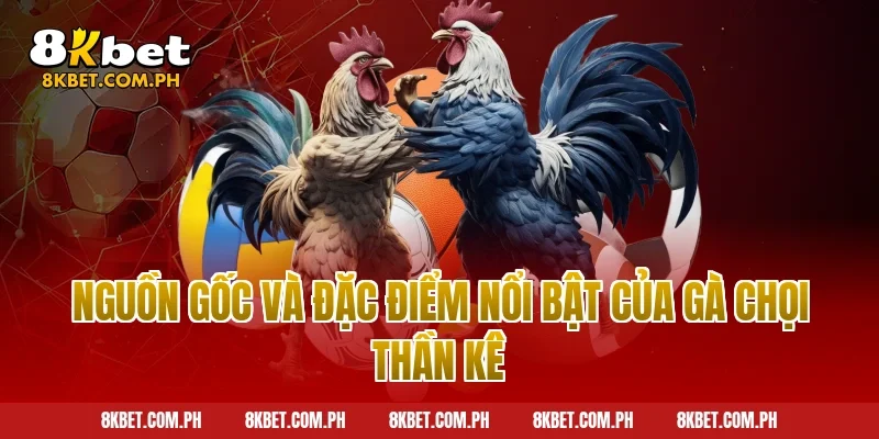 Nguồn gốc và đặc điểm nổi bật của gà chọi thần kê