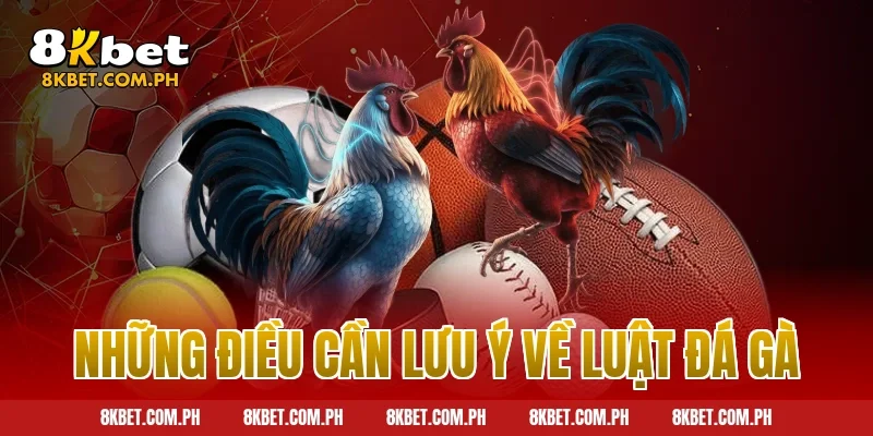 Những điều cần lưu ý về luật đá gà