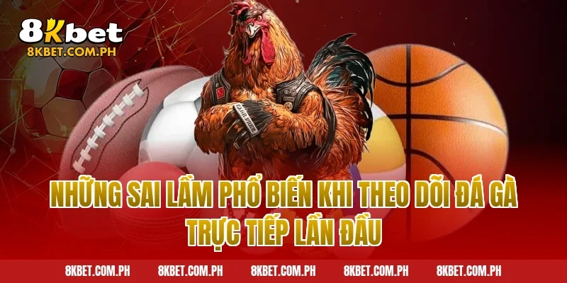 Những Sai Lầm Phổ Biến Khi Theo Dõi Đá Gà Trực Tiếp Lần Đầu