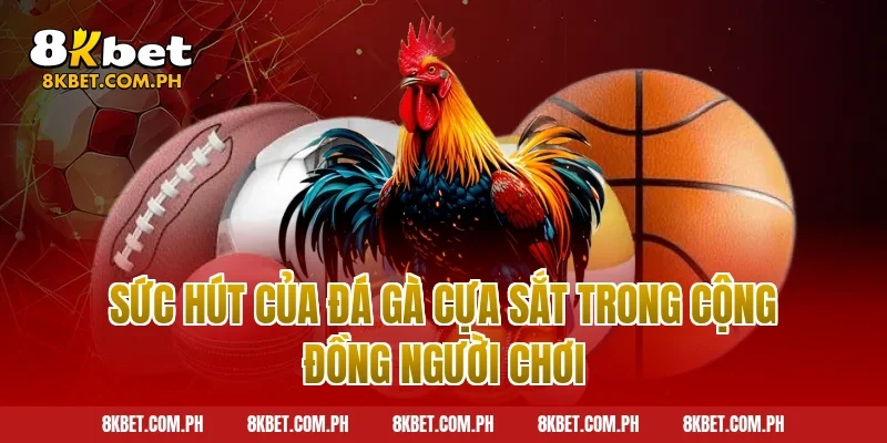 Sức hút của đá gà cựa sắt trong cộng đồng người chơi