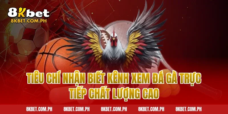 Tiêu Chí Nhận Biết Kênh Xem Đá Gà Trực Tiếp Chất Lượng Cao