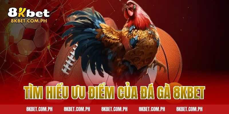 Tìm hiểu ưu điểm của đá gà 8kbet