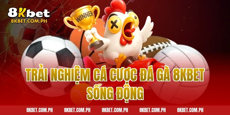 Trải nghiệm cá cược đá gà 8kbet sống động